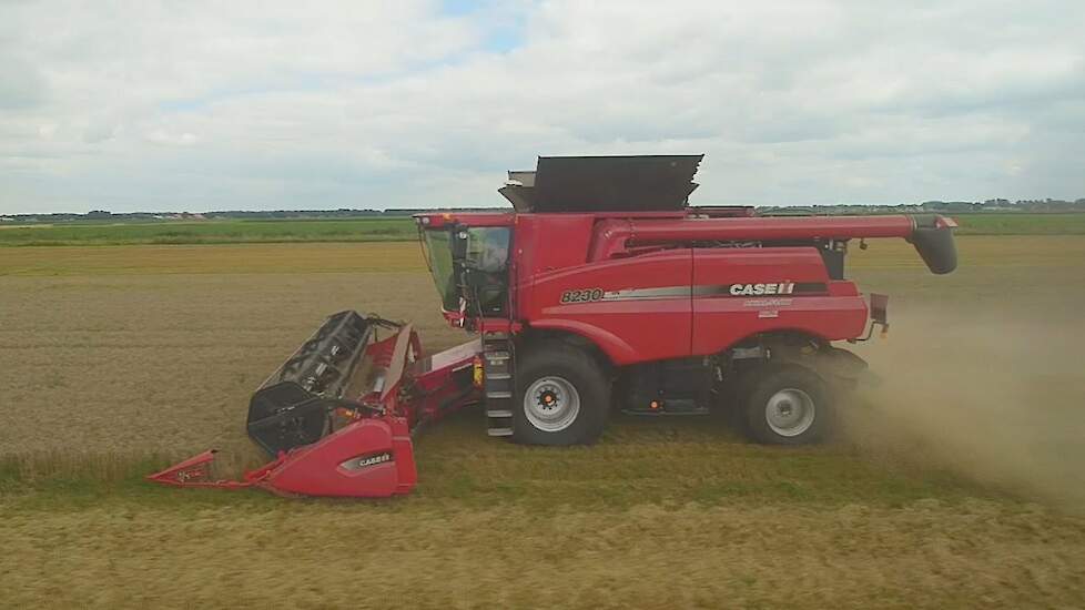 Case-IH 8230 AFS Axial Flow in de tarwe Trekkerweb