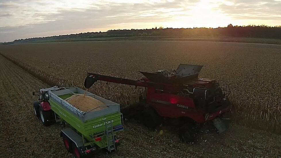 CASE IH Axial Flow 8230. Maïsdorsen met capaciteit!  corn harvest Trekkerweb