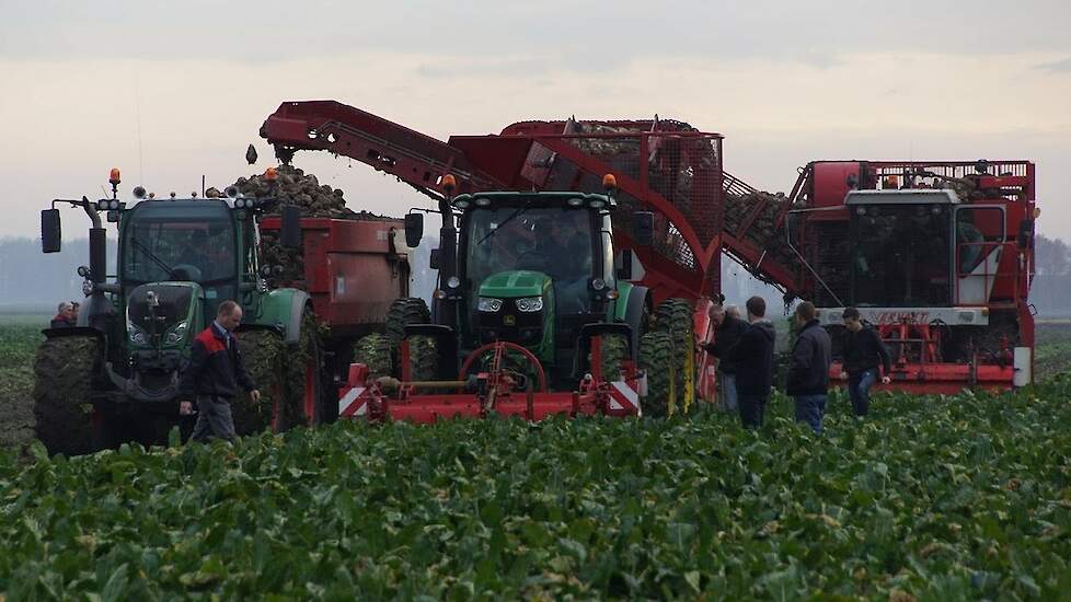 Suikerbietenrooien bij Veldleeuwerik kennisbijeenkomst Grimme Rootster Vervaet