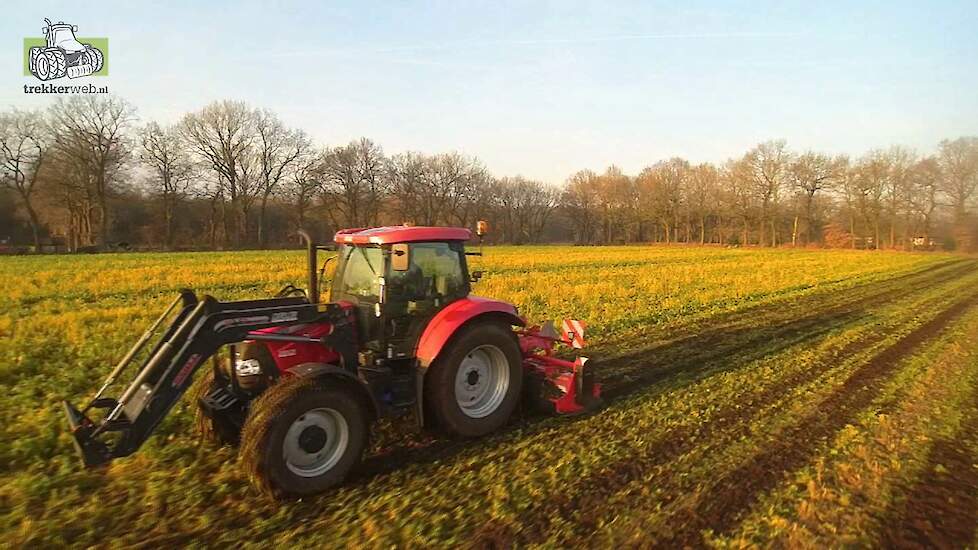 Bladrammenas klepelen met de Case-IH Maxxum 120 CVX Trekkerweb