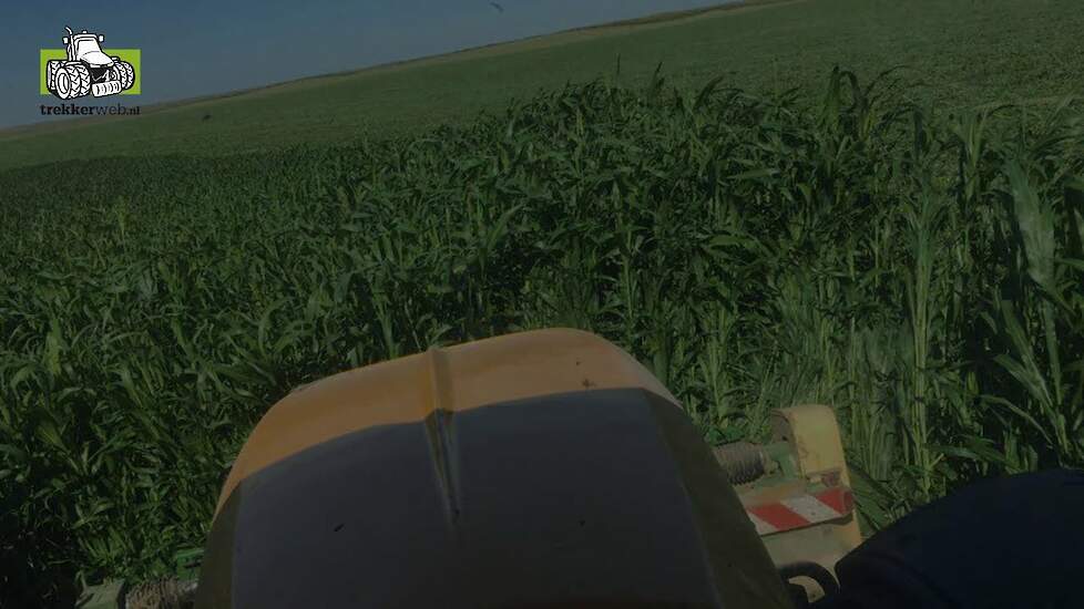 Sweetleaf maaien met JCB en Krone triplemaaier Trekkerweb