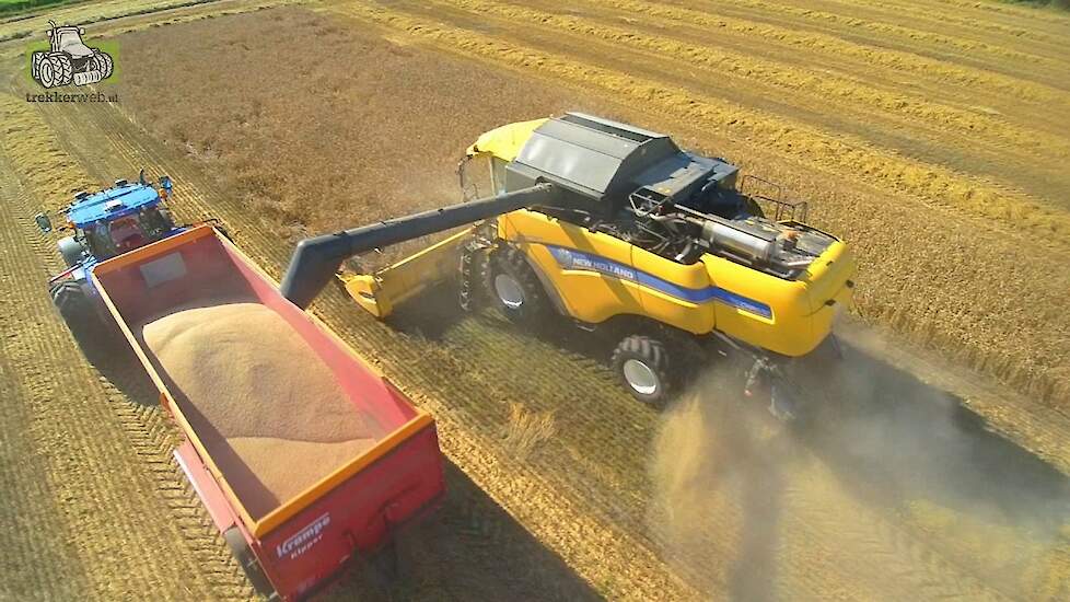 New Holland CX8070 Elevation in de zomertarwe Trekkerweb