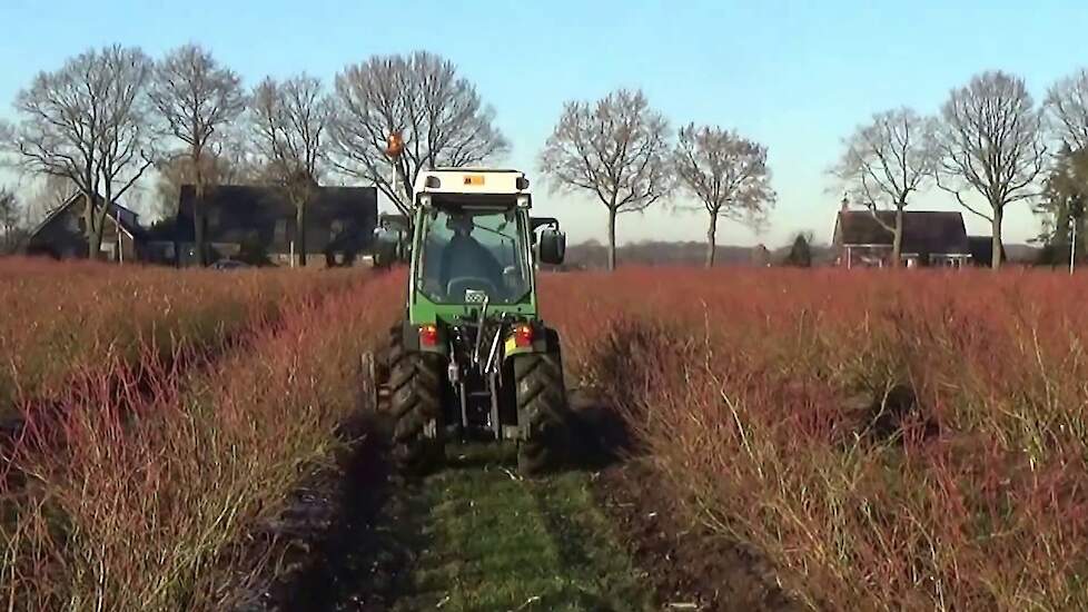 FENDT 211 V VARIO TMS SNOEIAFVAL KLEPELEN BLAUWE BESSEN