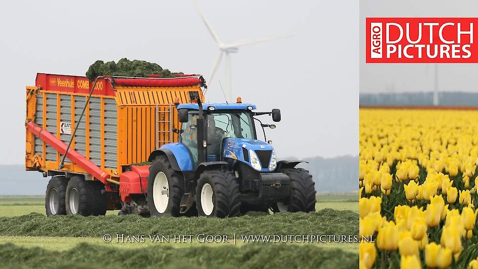 Silage 2017, Grass time | Gras inkuilen 2017 | New Holland T7030, T6030 + TS100 | Eerste snede