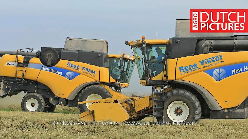 Grass seed harvest | Graszaad oogst | Rene Visser, Biddinghuizen | 2017
