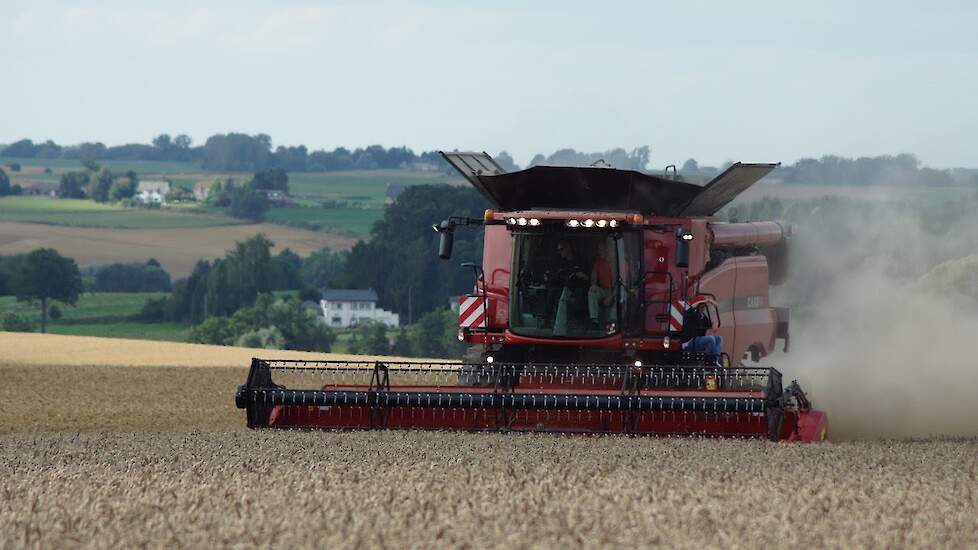 Tarwe dorsen met Case-IH 8240 AFS Axial Flow Trekkerweb