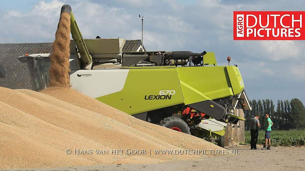 CLAAS LEXION 670 Terra Trac TT + 550 | Blitterswijk Agro | Big harvest of wheat | Tarweoogst | 2017