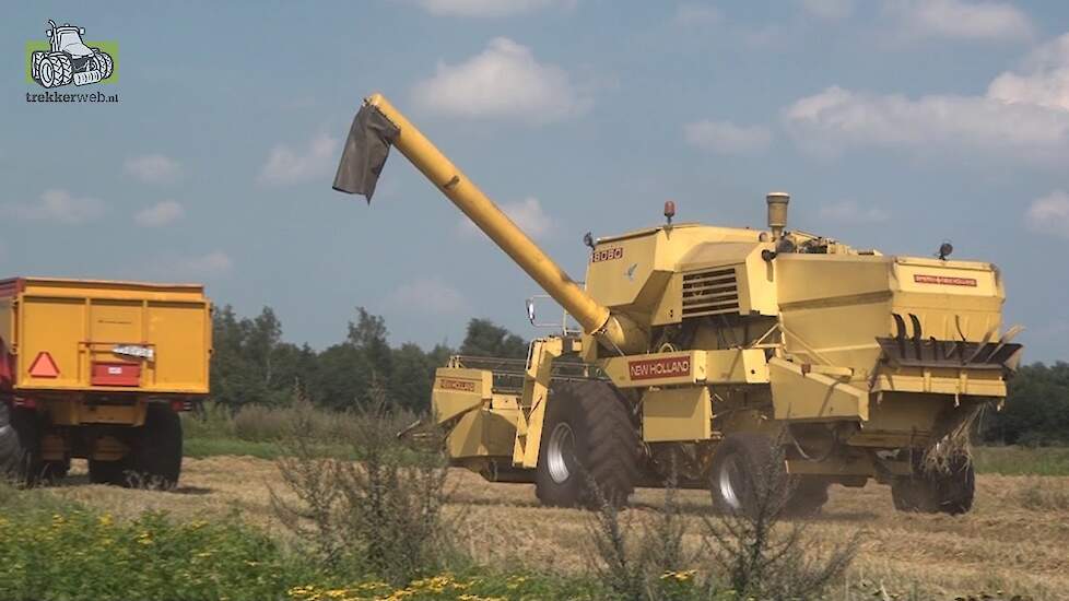 New Holland Clayson 8060 in de zomergerst Trekkerweb