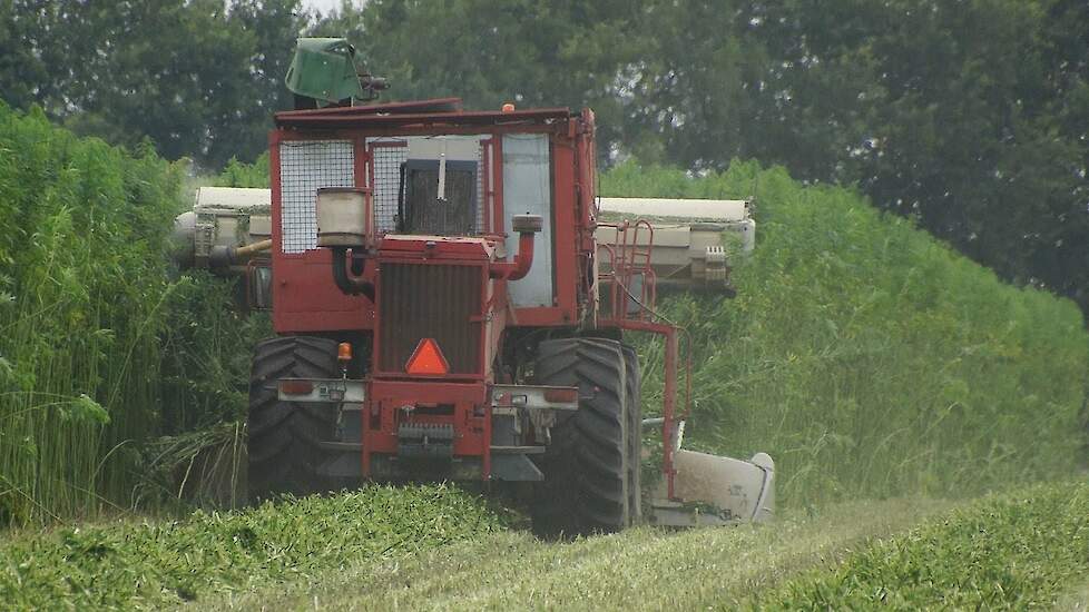 Hennep maaien met Hemp Bull van DunAgro Trekkerweb