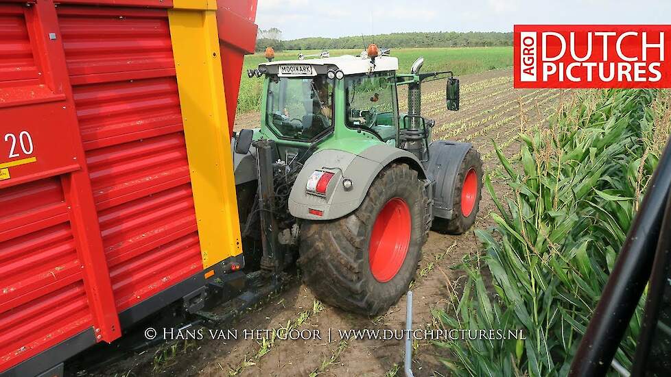 Mais hakselen 2017 | Claas Jaguar 870 Green Eye | Blankespoor | maize | häckseln | cab view | NL