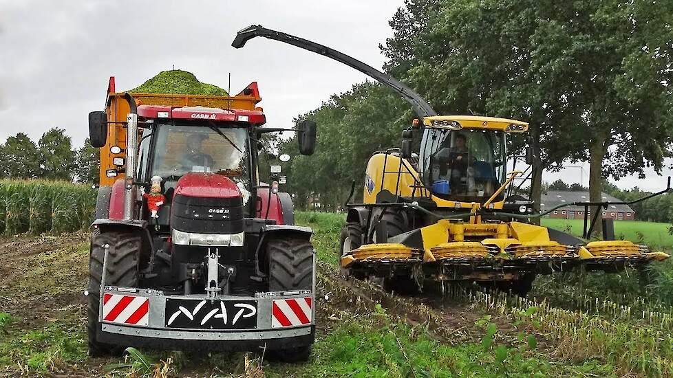 Mais Silage | New Holland FR600 + Case IH Puma | NAP | 2017