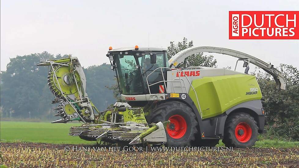 Maishäckseln 2017 | Claas Jaguar 860 + 950 | Karl Holters | Mais hakselen | Chopping maize