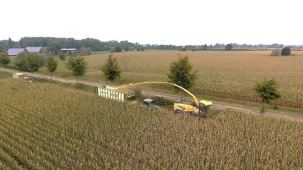 New Holland FR 700 Gebr Seegers in de maïs Trekkerweb