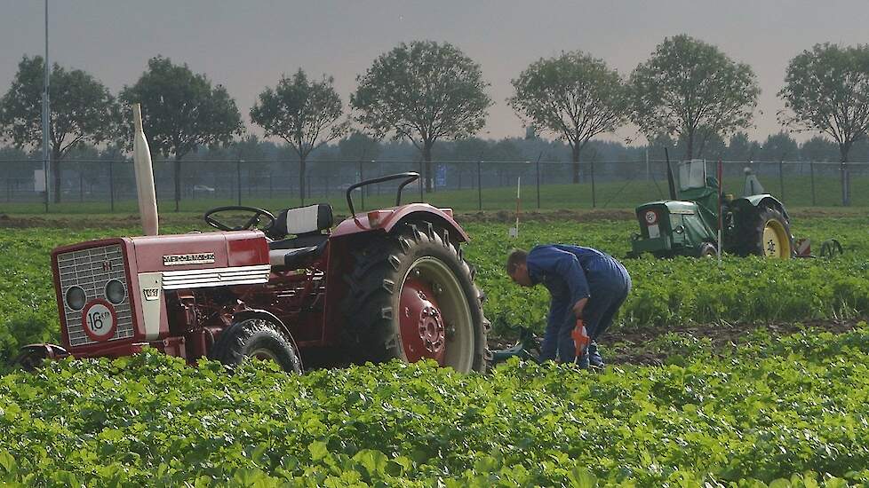 Provinciale ploegwedstrijden Groningen 2016 in de groenbemester Trekkerweb