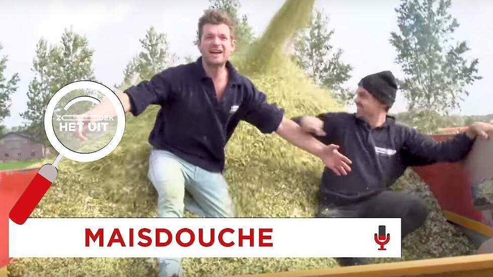 Hoe wordt mais geoogst? | Zoek het Uit | Bucket Boys