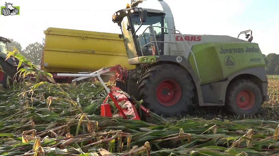 Stormschade snijmaïs oogsten door loonbedrijf Volksbank Claas Jaguar 940 en Orbis 600 Trekkerweb