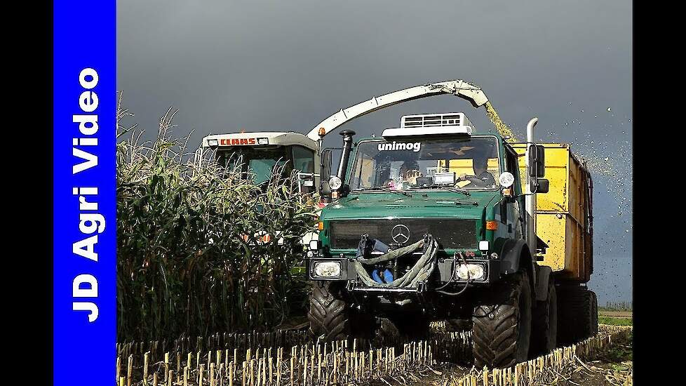 Mais hakselen 2017/Claas Jaguar 860/Unimog/Schut/Wilp/Harvesting maize/Maish&auml;ckseln
