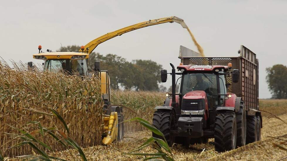 MKS ma&iuml;skolvenschroot hakselen New Holland FR9060  Trekkerweb