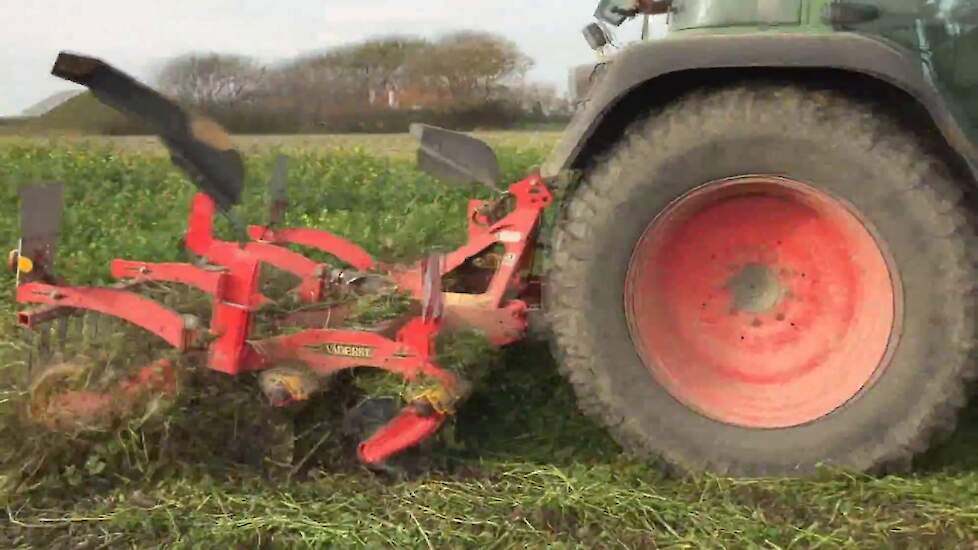 Groenbemester te lijf met de groenbemester nieuwe Väderstad CrossCutter-schijf Trekkerweb