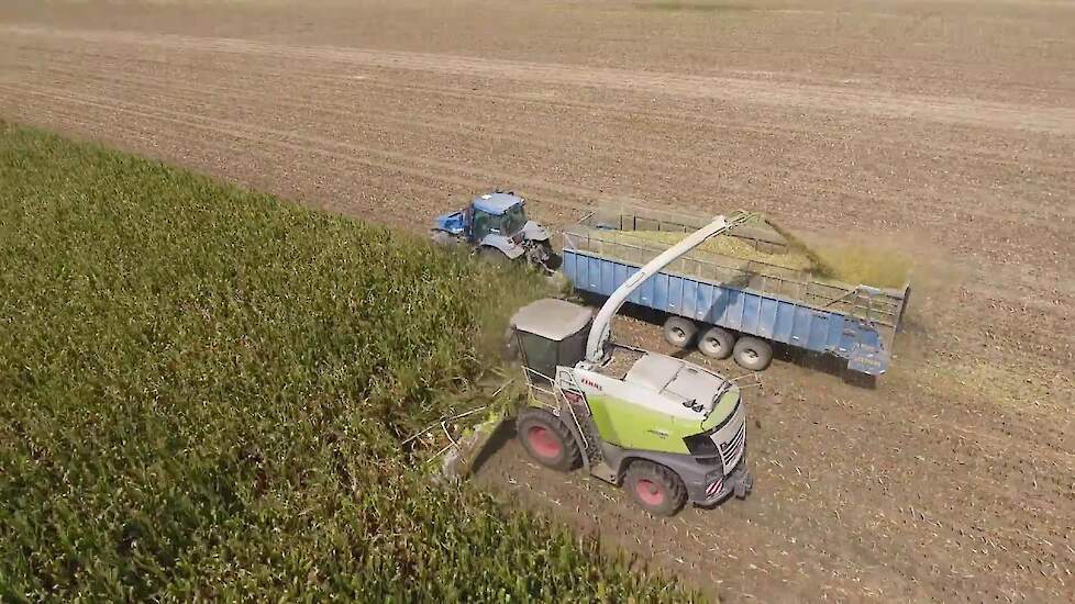 Corn silage chopping 2017 Van Ham Dairy