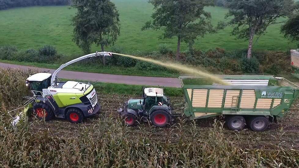 Maïshakselen bij loonbedrijf van Hal met demo Claas Jaguar 980 Trekkerweb
