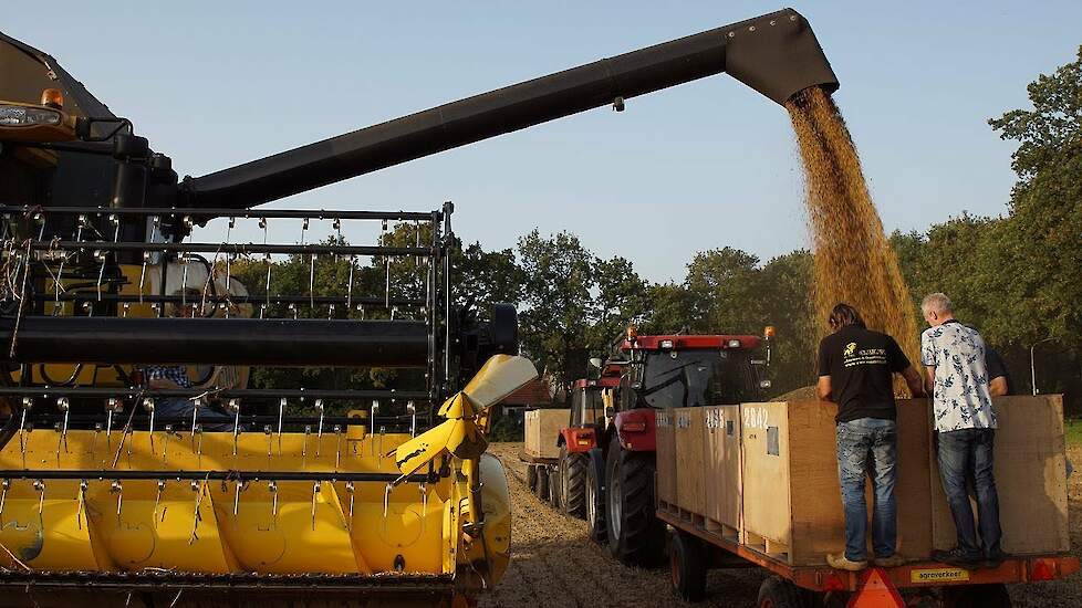 Drenthe landelijk koploper in sojateelt. Reportage van Serge Vinkenvleugel RTV Drenthe
