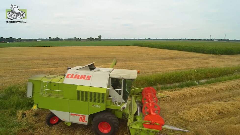 Zomertarwe dorsen met Claas Dominator 88 SL Trekkerweb