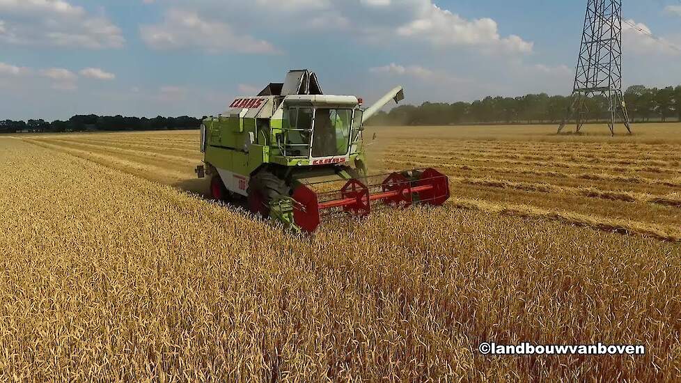 Tarwe combinen - Akkerbouwbedrijf Van der Spoel