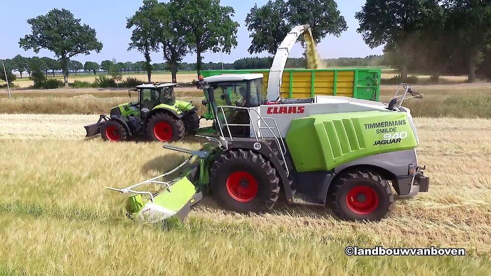Gerst hakselen - gehele plant silage - Melvee- / Loonbedrijf Timmermans smilde