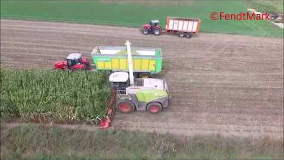 Loonbedrijf Coenen Montfort mais hakselen