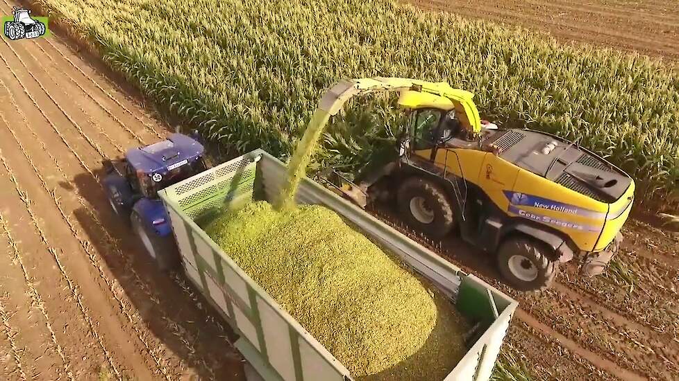 Loonbedrijf Gebr Seegers met New Holland FR in de snijmais