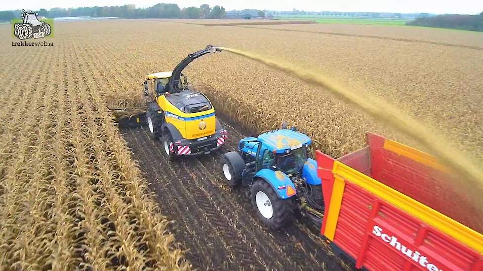 New Holland FR 650 en FR 550 Forage Cruiser in de maïs Trekkerweb silage