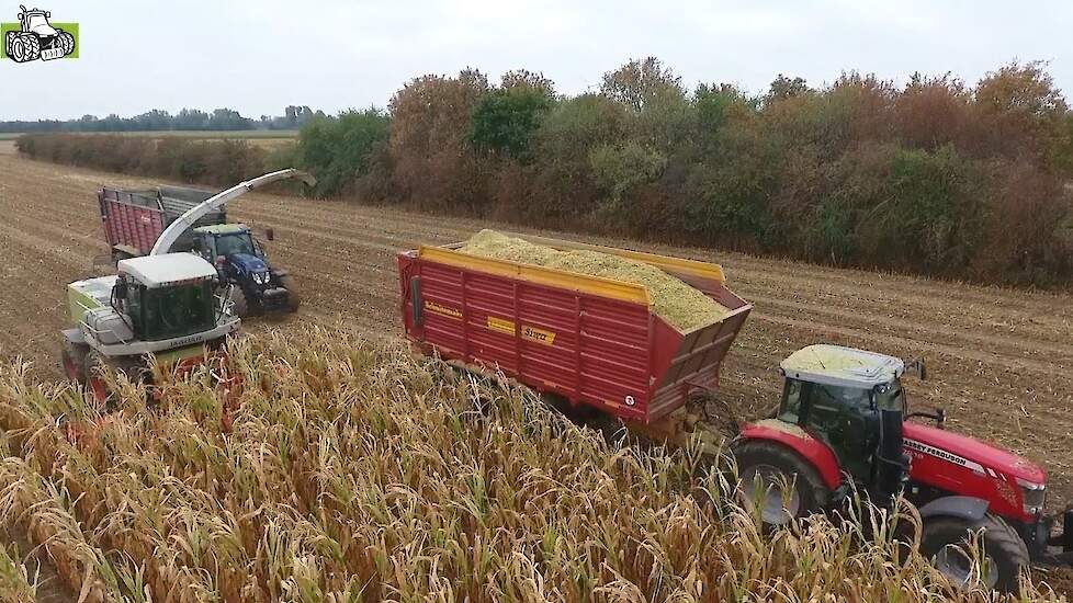 CLAAS Jaguar 890 in de maïs