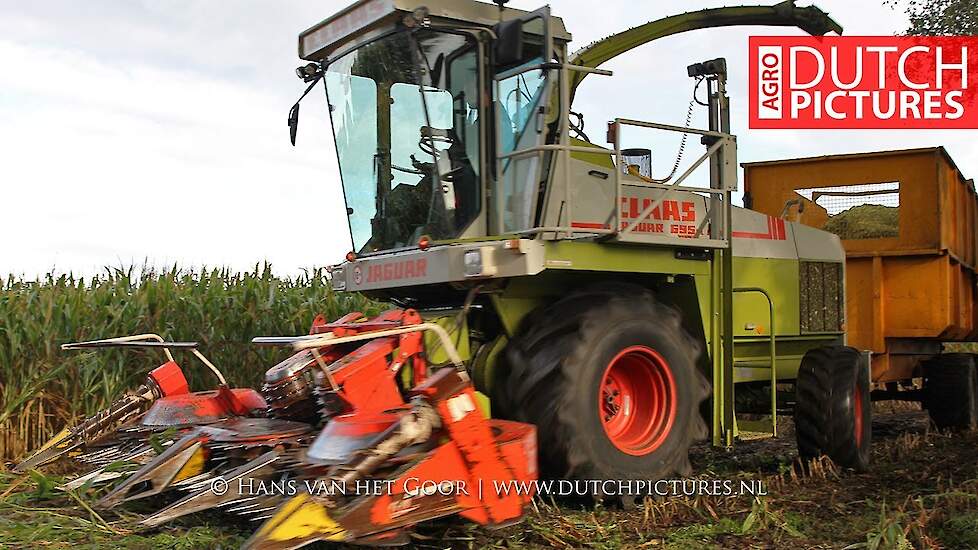 Good old Claas Jaguar 695 SL - International 955 XL - Velkemeen - Mais 2018