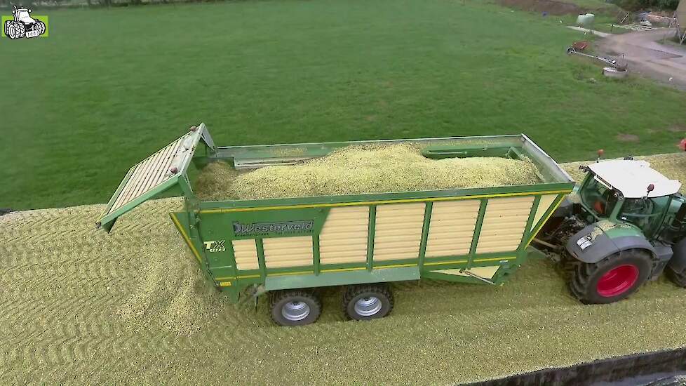 Loonbedrijf Westerveld met Krone TX 460D silagewagens in de maïs Trekkerweb