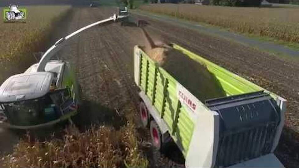Claas Jaguar 960 en Claas Cargos in de snijmaïs