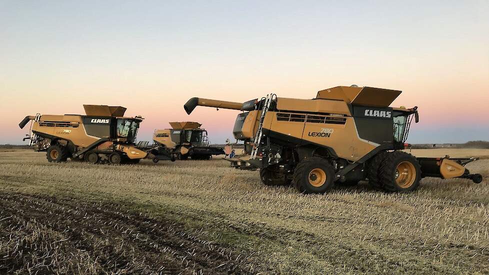Zwad combinen met Lexion 780TT in Alberta Canada onboard beelden
