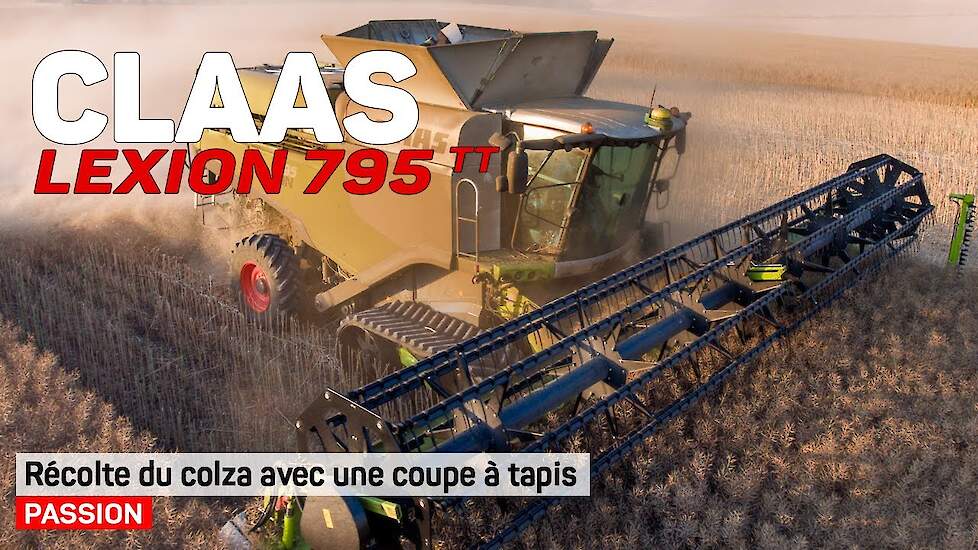 Combine Harvester CLAAS Lexion 795 Terra Trac / Coupe à tapis Maxflo 1050