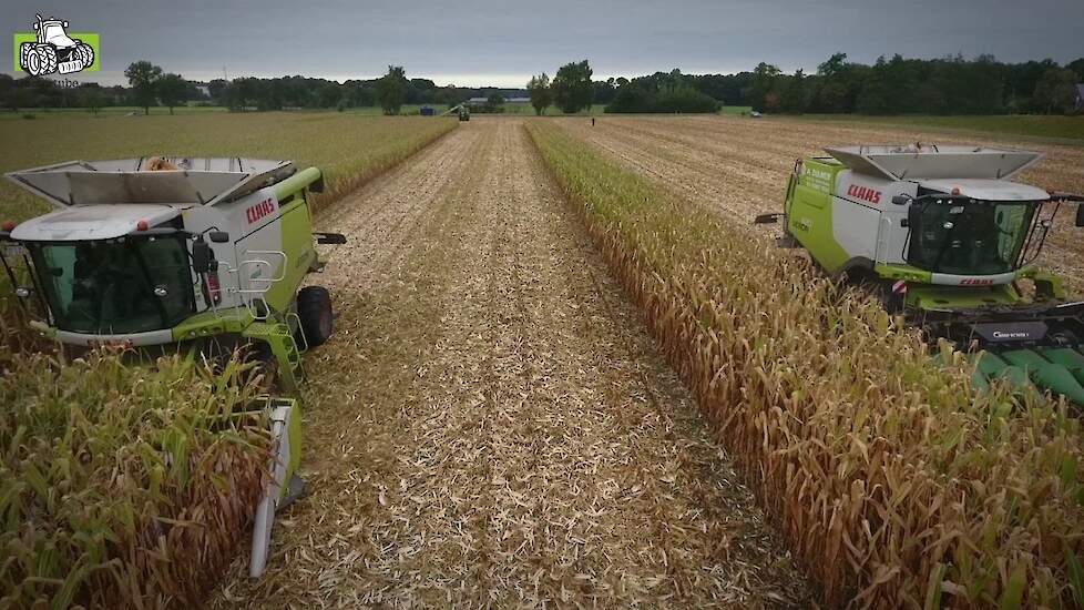 Twee maal Claas Lexion 670 TT Terra Trac aan het maïsdorsen voor ccm Trekkerweb