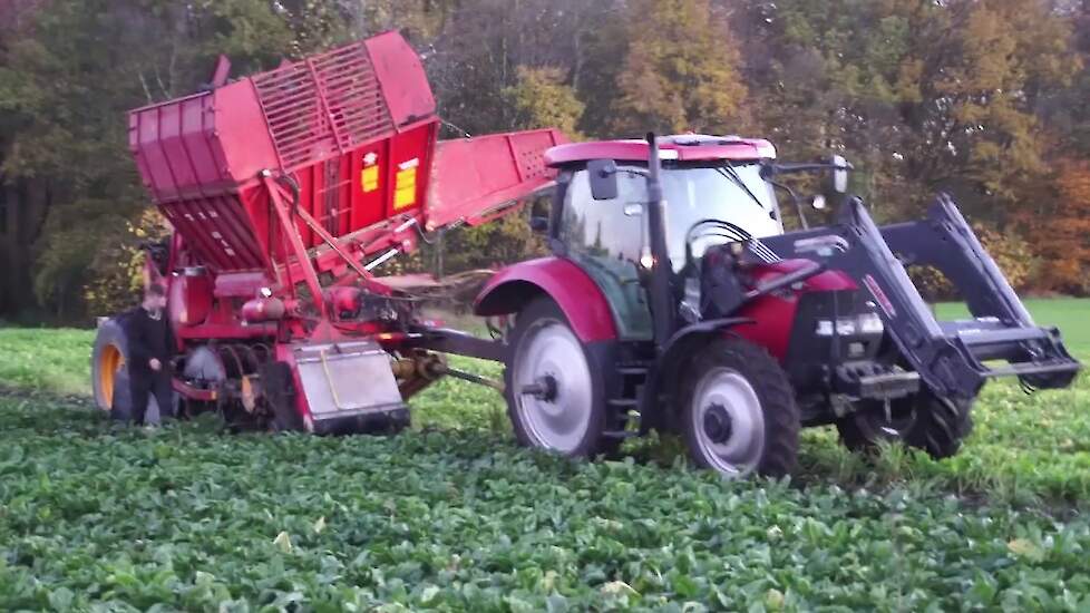 BIETENROOIEN MET EEN CASE IH 110 EN EEN TIM KAB S2 RE