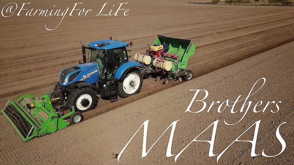 *NEW*  NH T7.270  (4K) | Potato Planting | the Netherlands | Brothers Maas