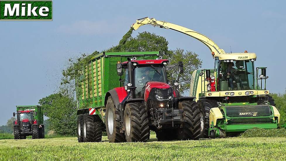 2019 | Two Case Optums 270 | Gras hakselen | Krone BiG X 700 | Tuller - Bathmen | NL.