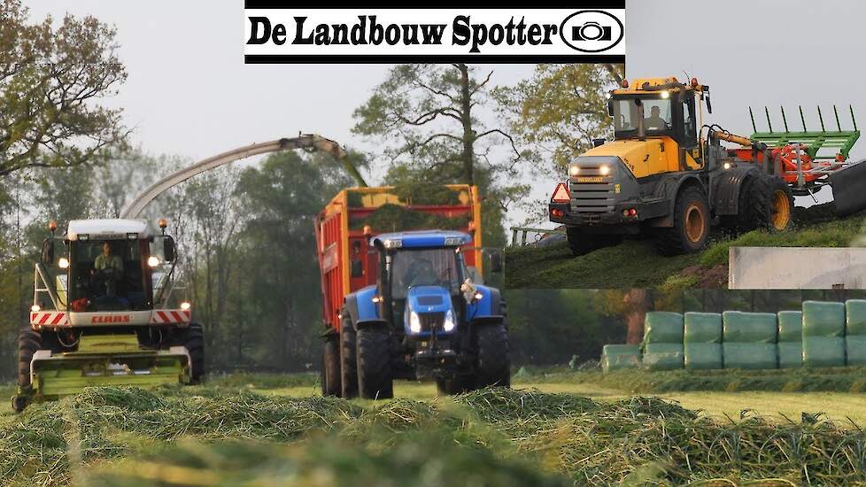 Grass silage + Pit-work 2019 | Claas Jaguar 900 | New Holland T7.230 + TVT170 | Nikkels