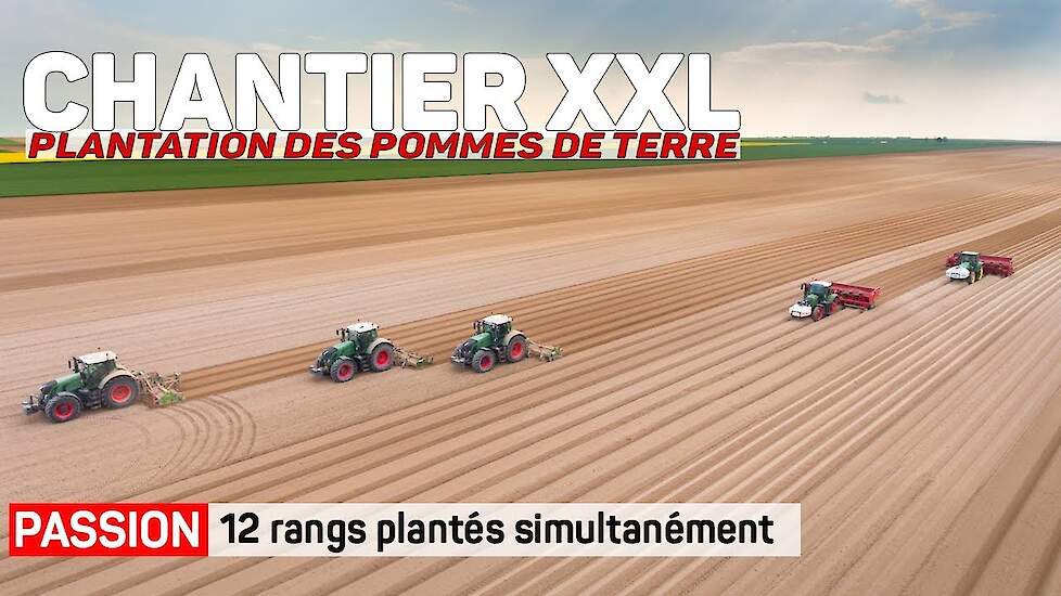 CHANTIER XXL : 12 rangs de pommes de terre plantés simultanément