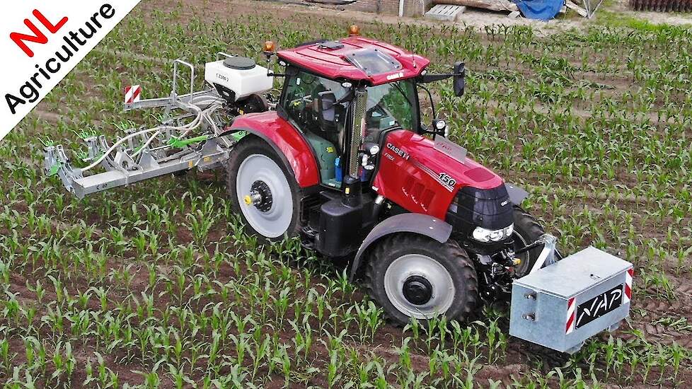 Vanggewas onderzaaien 2019 - Case IH Puma 150 CVX + Zocon - NAP - Lunteren.