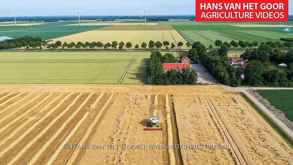 Claas Lexion 670 Terra Trac - Graanoogst - Getreideernte - Grain harvest 2019 - Blitterswijk Agro 4K
