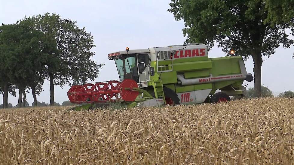 CLAAS DOMINATOR 118 SL WINTER  TARWE DORSEN