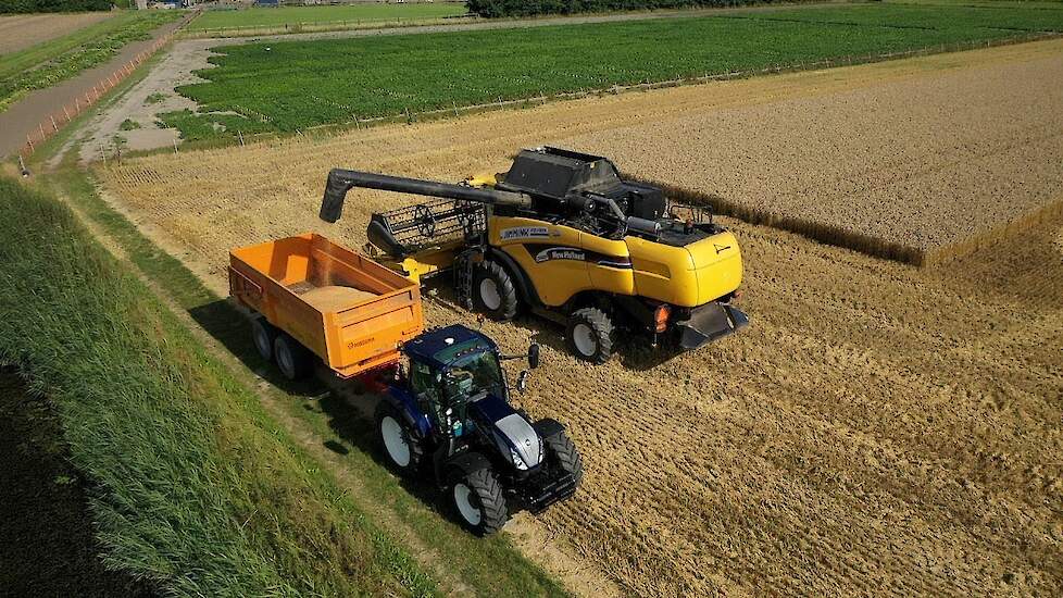 Jimmink Kolhorn New Holland CX820 Wheat Harvest