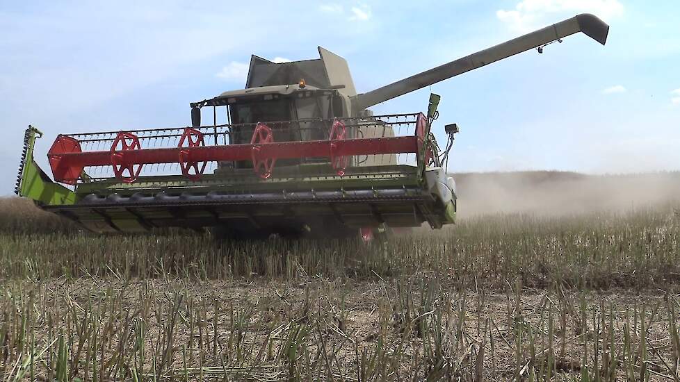 KOOLZAAD DORSEN MET 3 X CLAAS LEXION 560 UNIMOG 2400 POLEN