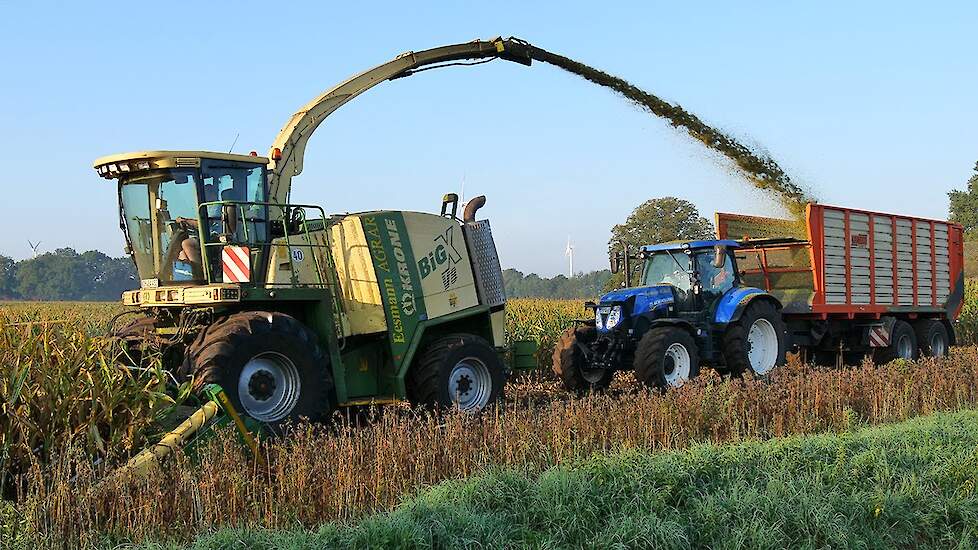 Krone Big X V8 + 3x New Holland - Maishäckseln - Mais hakselen - Maize - Kukurydzy - Eesmann Agrar